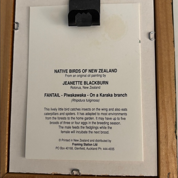 Set of Two Framed Native Birds of New Zealand - Picture 6 of 7